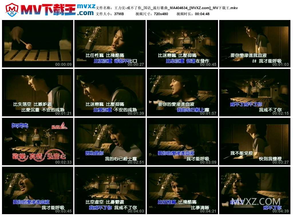 王力宏-戒不了你_国语_流行歌曲_MA404634